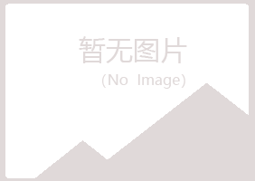 上海晓夏服务有限公司